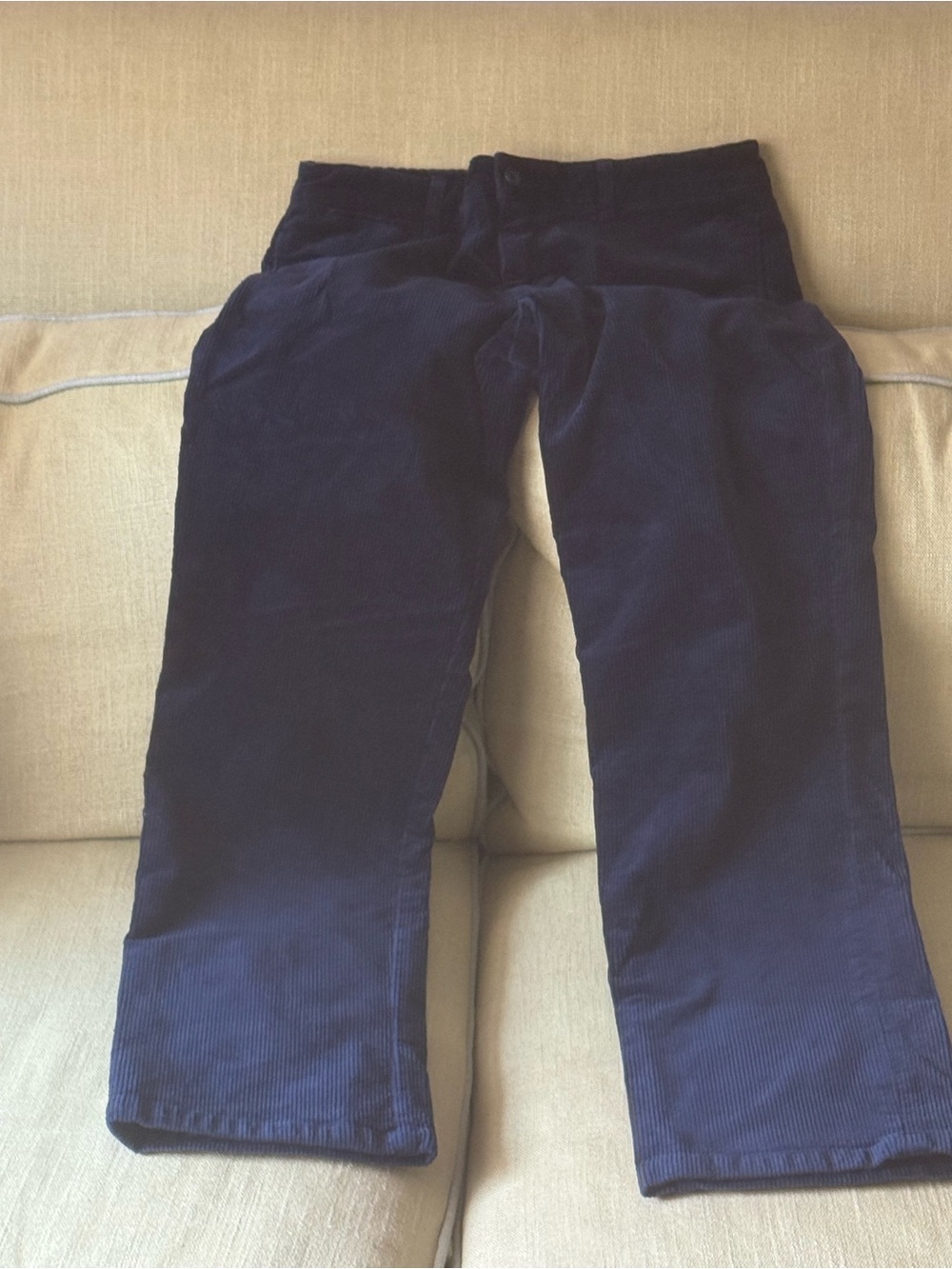 Polo by Ralph Lauren Navy Corduroy Kids Pants